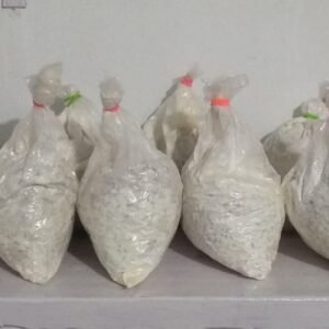 Dina's - Mushroom Seeds