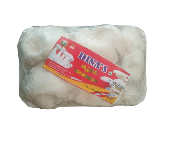 Dinas Mushroom