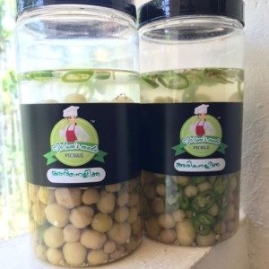 Mom's Made Pickles - Arinellikka