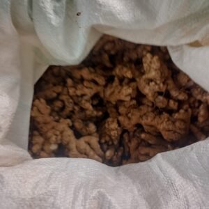 Organo Foods - Inji