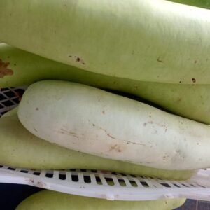 Organo Foods - Bottle Gourd