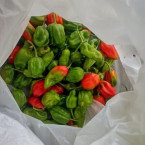 Organo Foods - Round chilly