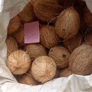 Organo Foods - Coconut