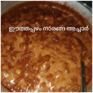 Bhadra - Date Palm & lemon Pickle