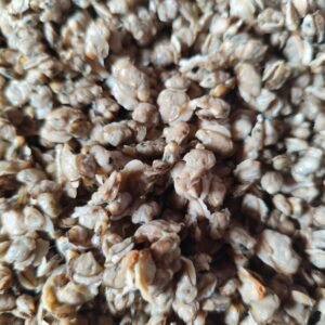 Sandheeb - Kakka Irachi