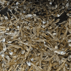 Dried Kozhuva fish  / ഉണക്കിയ കൊഴുവ