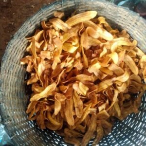 Riza - jack fruit chips