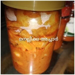 Bhadra - Amla Pickle