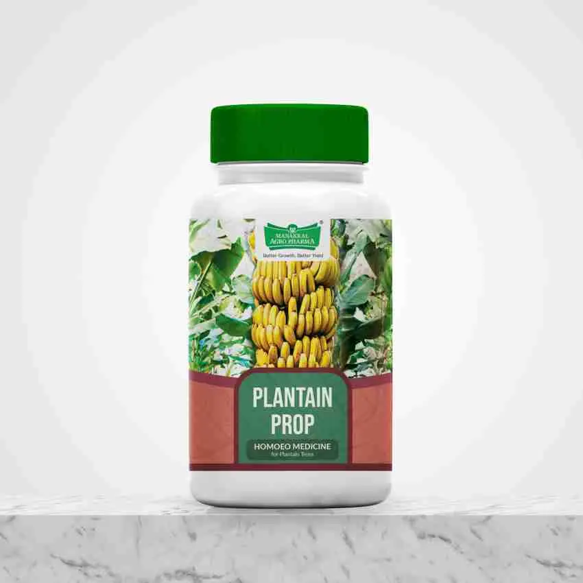 Homeopathic Fertilizer for Plantain Trees & Banana Trees Homeopathic Fertilizer for Plantain Trees & Banana Trees