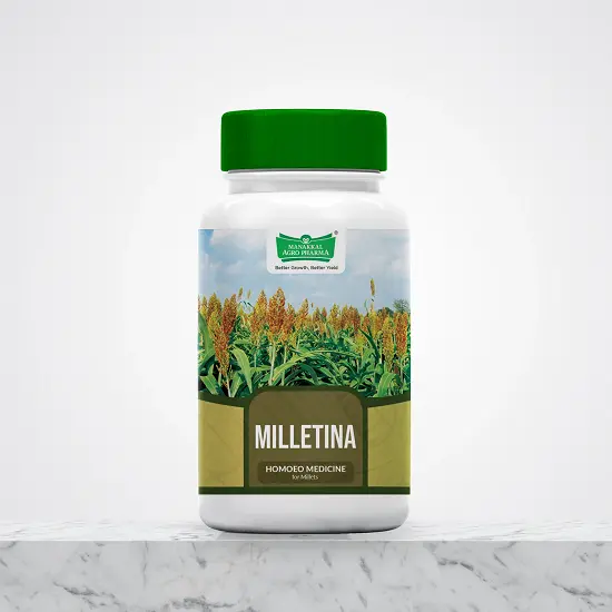 Homeopathic Fertilizer for Millet Homeopathic Fertilizer for Millet